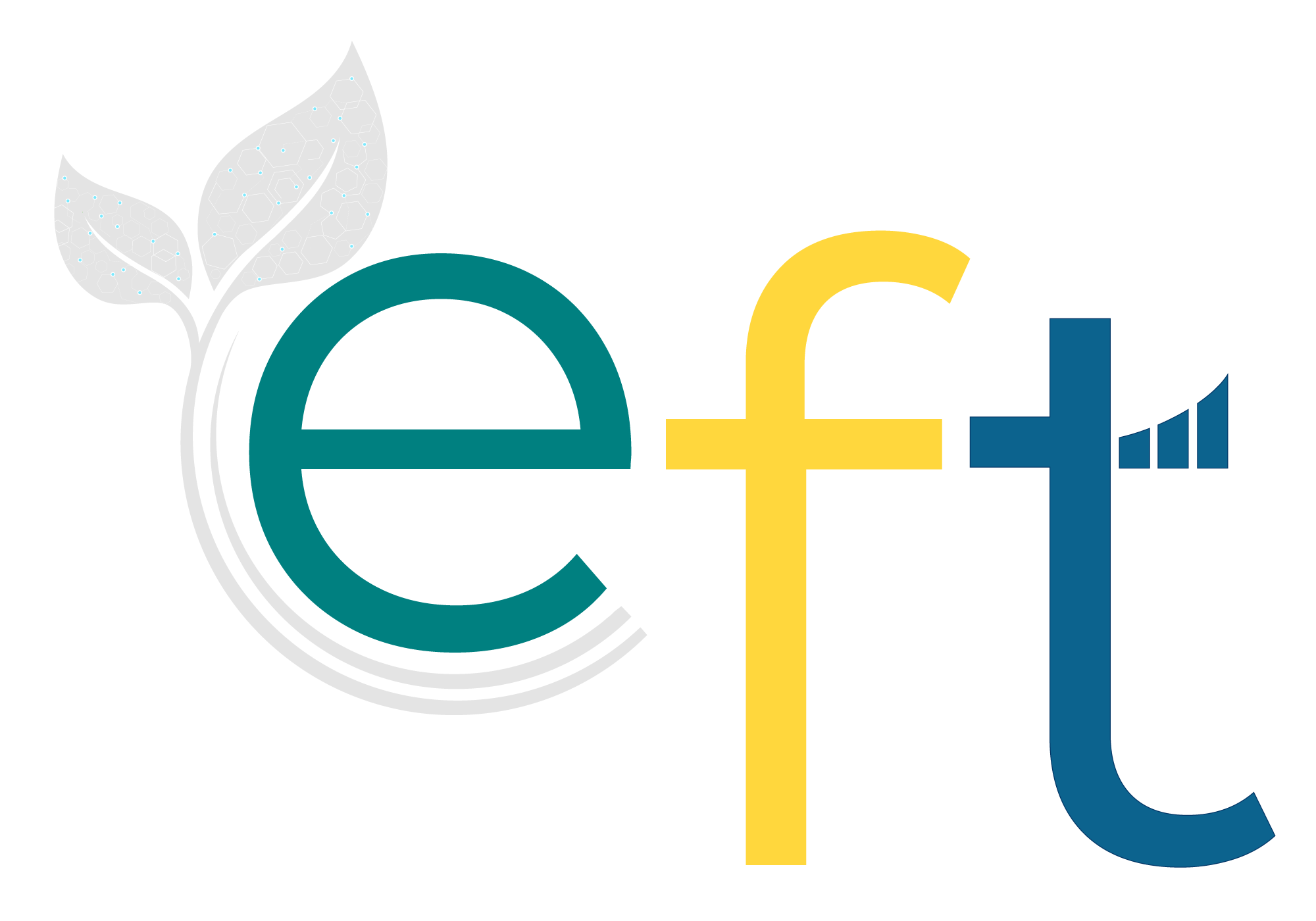 Logo de Partner EFT
